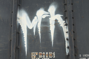 mfkshow