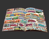 International Mags